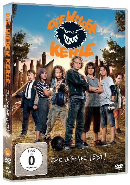 Die Wilden Kerle - Die Legende lebt, DVD main product photo