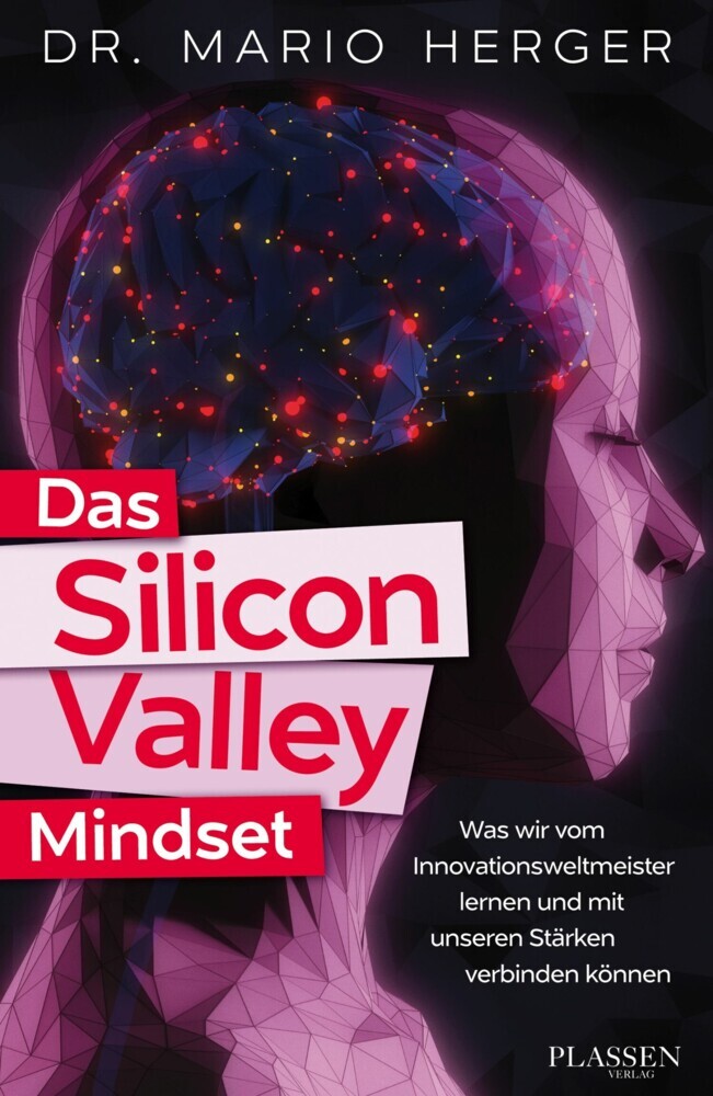 Das Silicon Valley Mindset main product photo