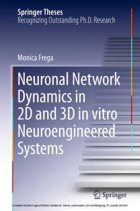 Neuronal Network Dynamics in 2D and 3D in vitro Neuroengineered Systems
