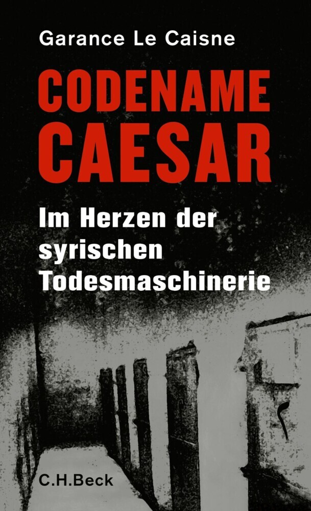 Codename Caesar main product photo