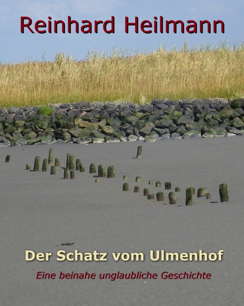 Der Schatz vom Ulmenhof main product photo