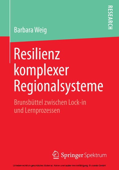 Resilienz komplexer Regionalsysteme main product photo