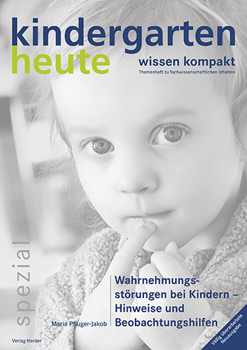 Wahrnehmungsstörungen bei Kindern - Hinweise und Beobachtungshilfen main product photo