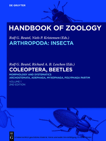 Coleoptera, Beetles. Morphology and Systematics main product photo