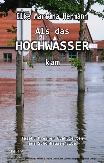 Als das Hochwasser kam main product photo