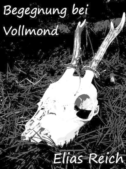 Begegnung bei Vollmond main product photo
