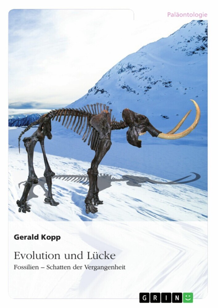 Evolution und Lücke main product photo