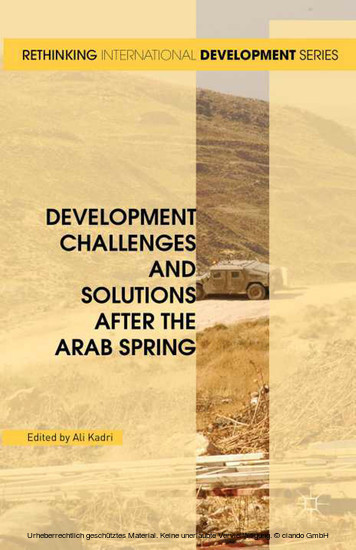 Development Challenges and Solutions After the Arab Spring main product photo