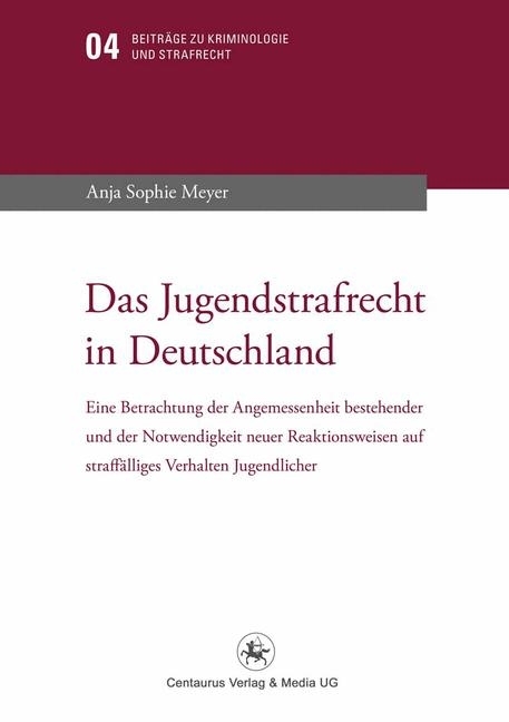 Das Jugendstrafrecht in Deutschland main product photo