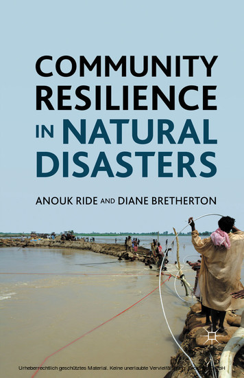 Community Resilience in Natural Disasters main product photo