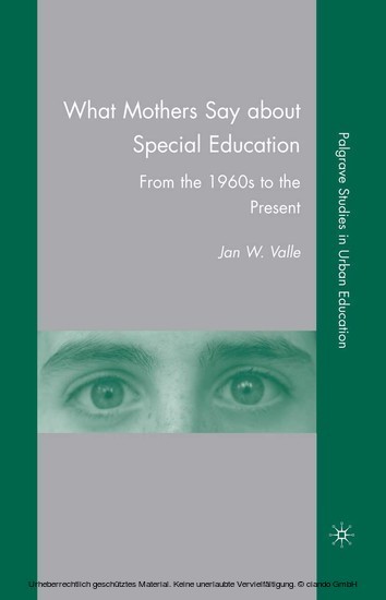 What Mothers Say about Special Education main product photo