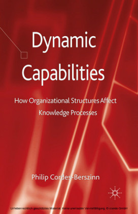 Dynamic Capabilities