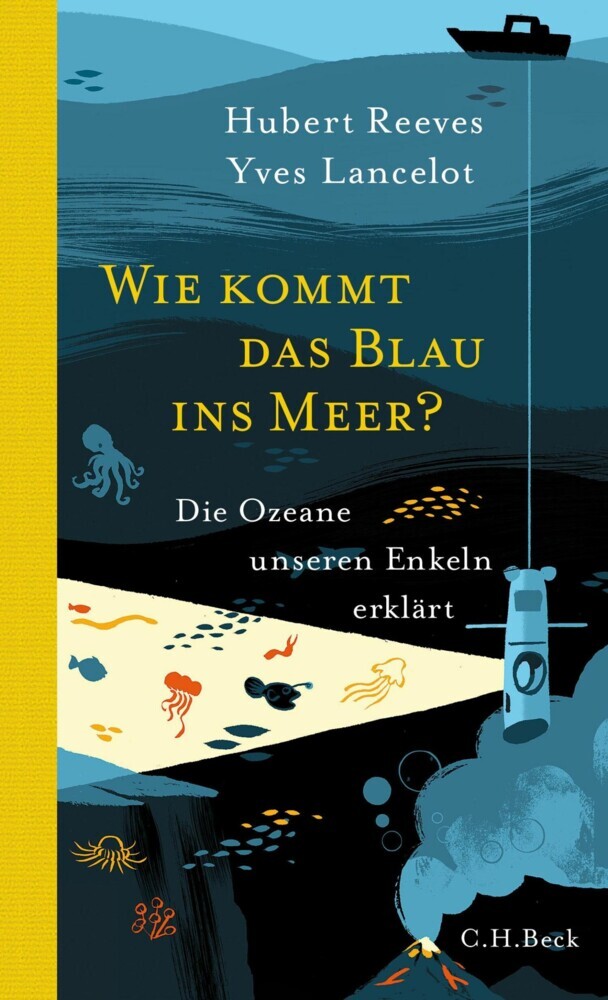 Wie kommt das Blau ins Meer? main product photo