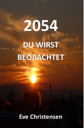 2054 - Du wirst beobachtet