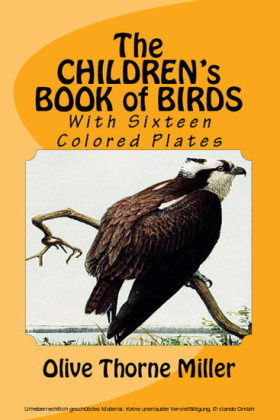 The Children's Book of Birds