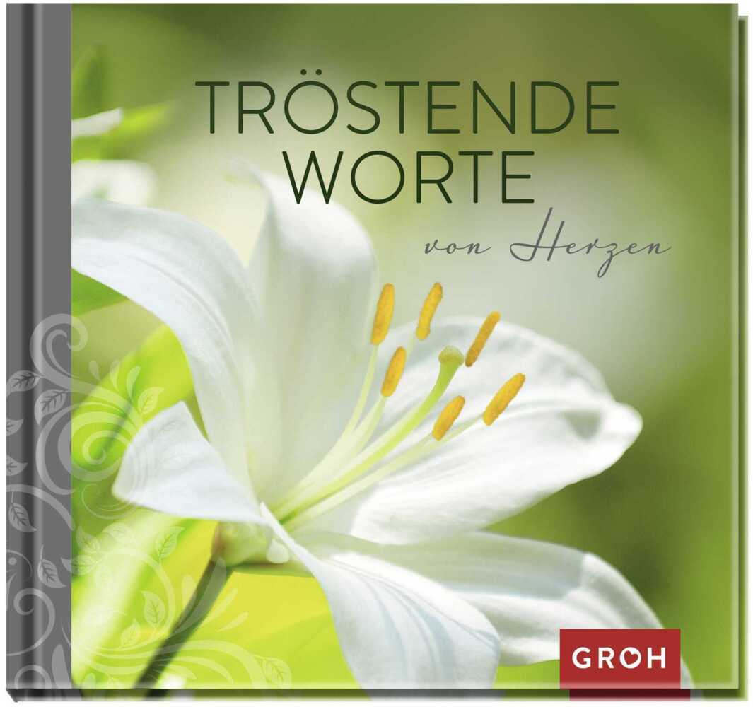 Tröstende Worte von Herzen main product photo