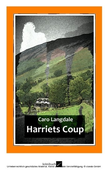 Harriets Coup main product photo
