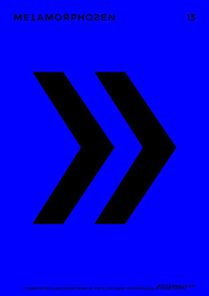 metamorphosen 13 - Weitermachen