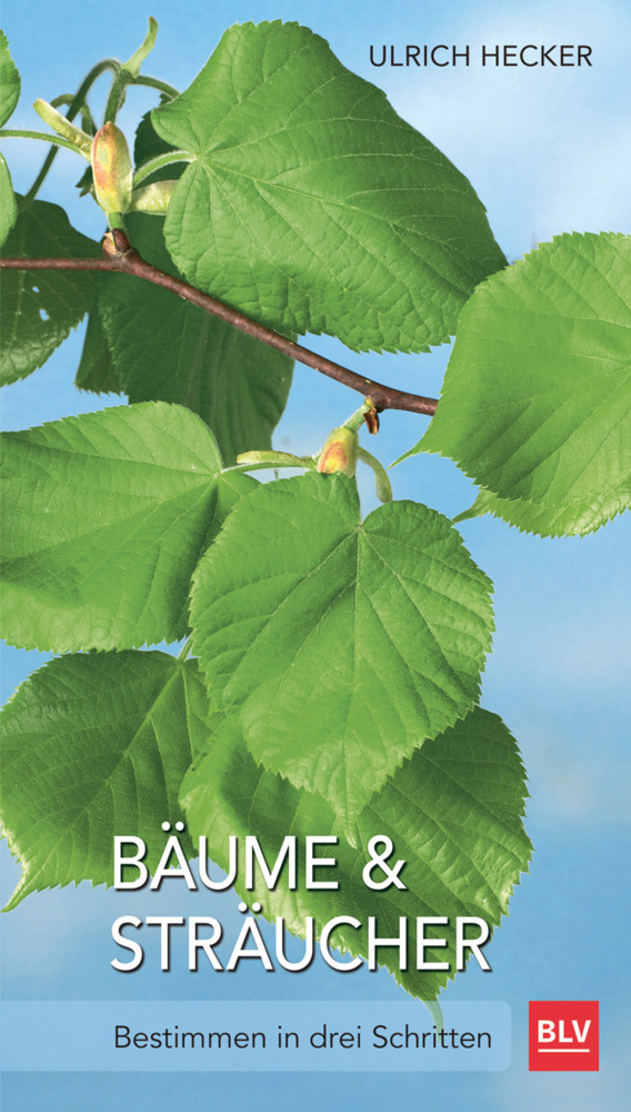 Bäume und Sträucher main product photo