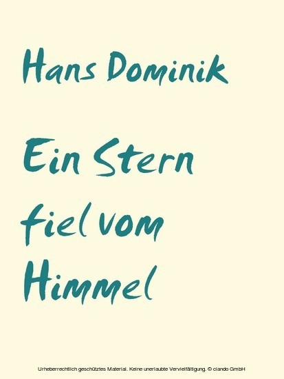Ein Stern fiel vom Himmel main product photo