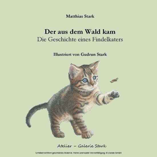 Der aus dem Wald kam main product photo