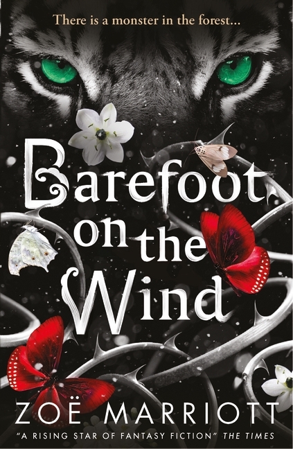 Barefoot on the Wind main product photo