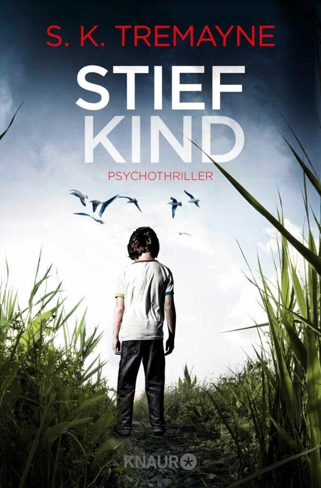 Stiefkind main product photo