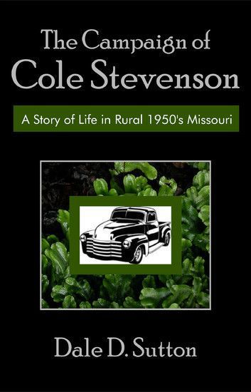 The Campaign of Cole Stevenson main product photo