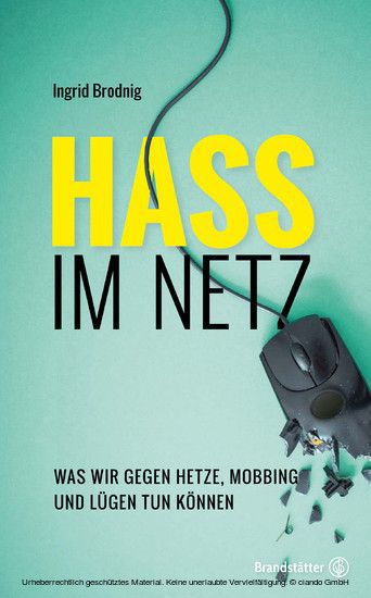 Hass im Netz main product photo