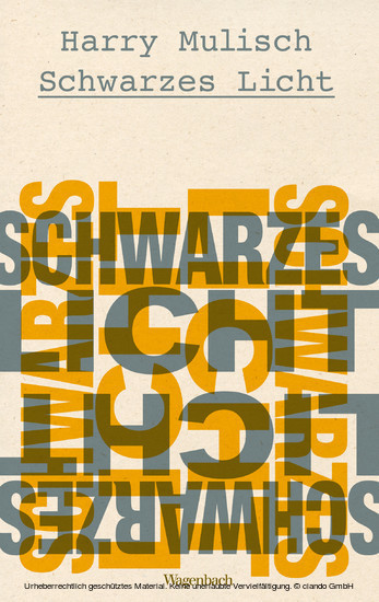 Schwarzes Licht main product photo