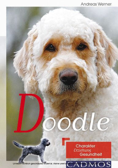 Doodle main product photo