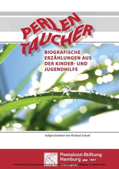 Perlen Taucher - Biografische Erzählungen aus der Kinder- und Jugendhilfe main product photo