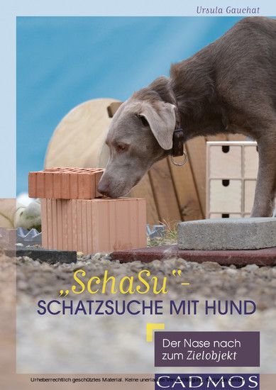 'SchaSu' - Schatzsuche mit Hund main product photo