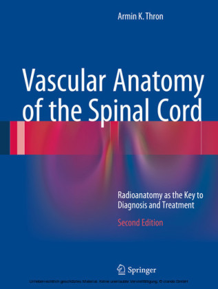 Vascular Anatomy of the Spinal Cord