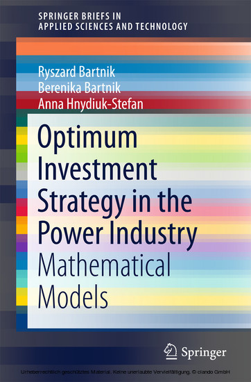 Optimum Investment Strategy in the Power Industry main product photo