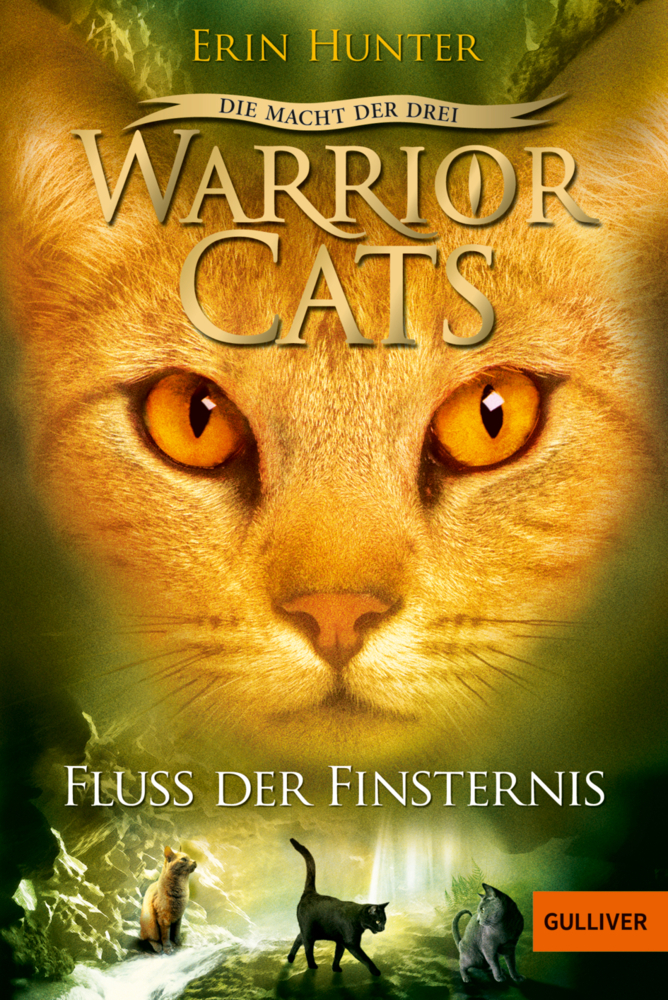 Warrior Cats, Die Macht der drei, Fluss der Finsternis main product photo