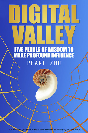 Digital Valley main product photo