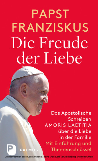 Die Freude der Liebe: Das Apostolische Schreiben Amoris Laetitia über die Liebe in der Familie main product photo