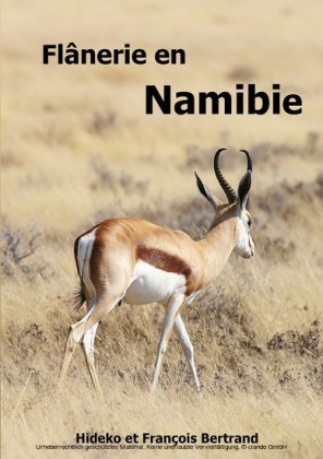Flânerie en Namibie
