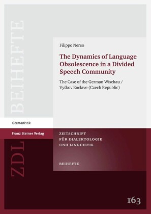 The Dynamics of Language Obsolescence in a Divided Speech Community