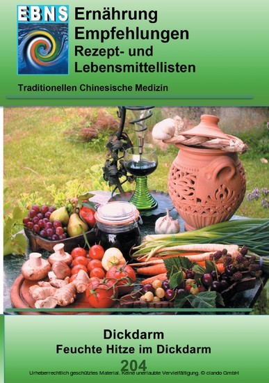 Feuchte Hitze im Dickdarm main product photo