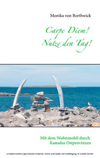 Carpe Diem! Nutze den Tag! main product photo