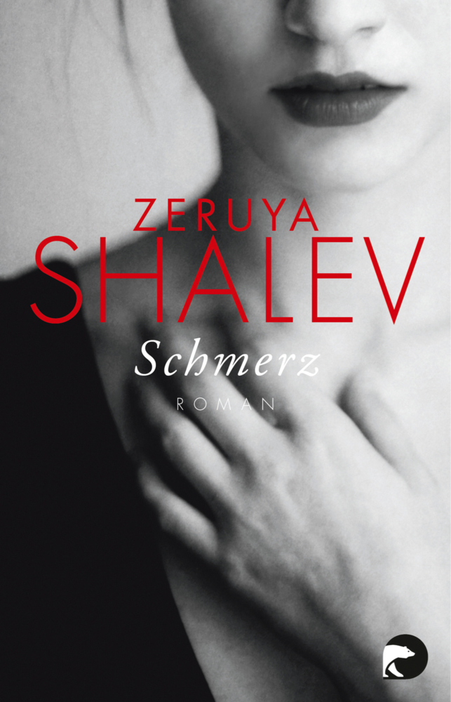 Schmerz main product photo