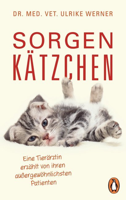 Sorgenkätzchen main product photo