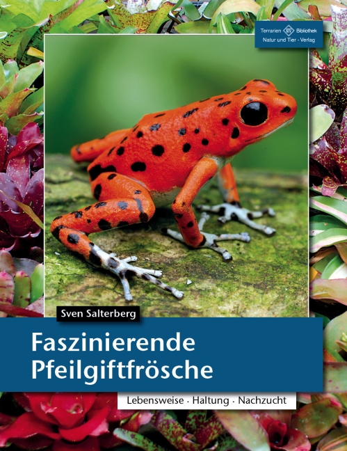 Faszinierende Pfeilgiftfrösche main product photo
