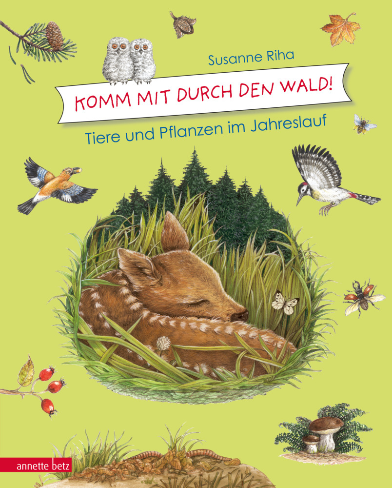 Komm mit durch den Wald main product photo
