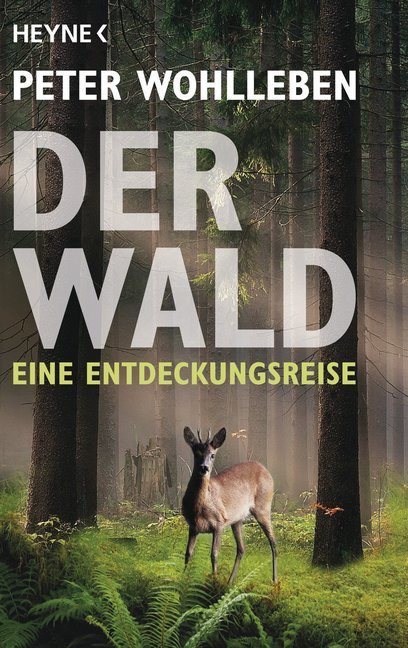 Der Wald main product photo