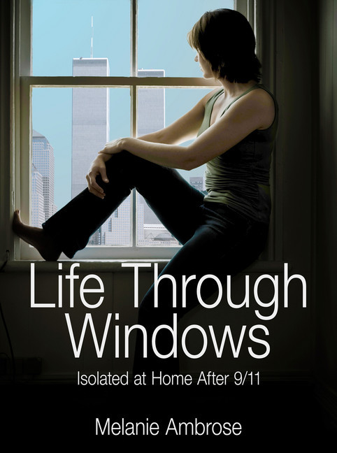 Life Through Windows main product photo