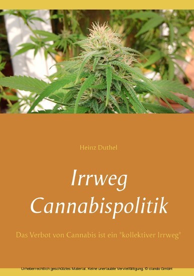 Irrweg Cannabispolitik main product photo