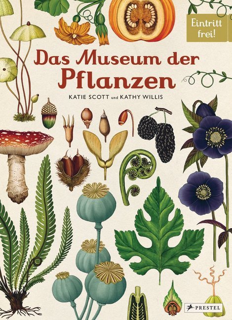 Das Museum der Pflanzen main product photo